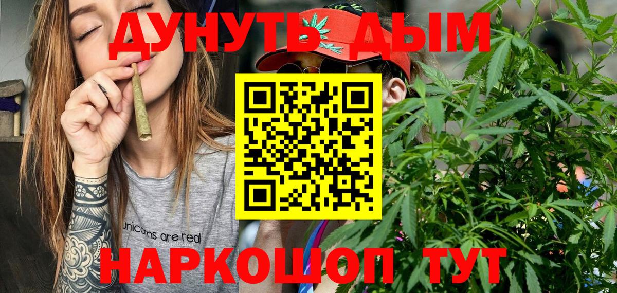 Каннабис сатива Новосибирск