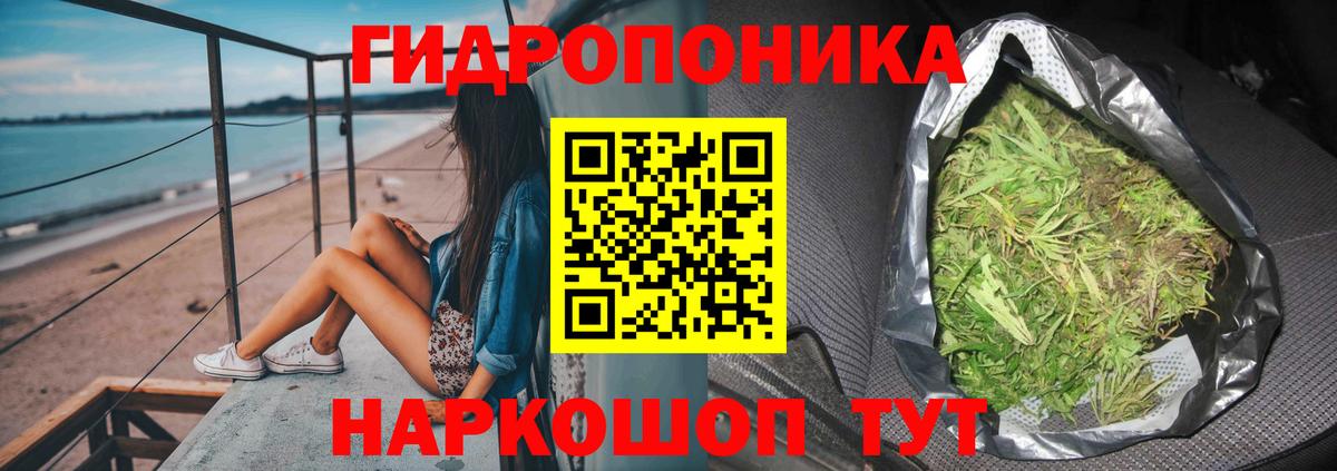 Новосибирск  Бошки марихуана план  Вход с VPN  МАРИХУАНА Ganja 